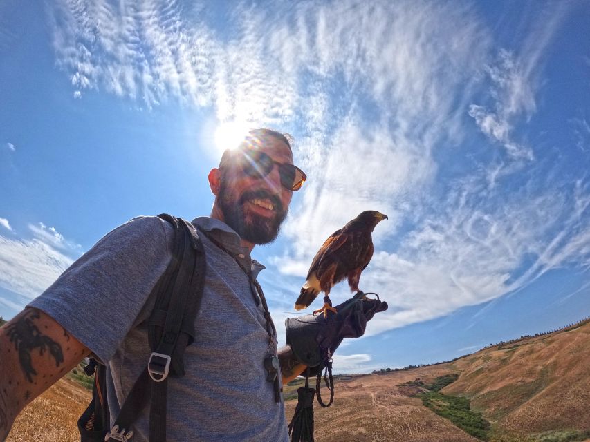 Experience with birds of prey in Tuscany - Why the private format matters
