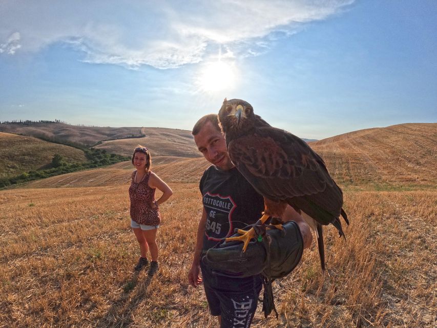 Experience with birds of prey in Tuscany - Should you book this falconry experience?