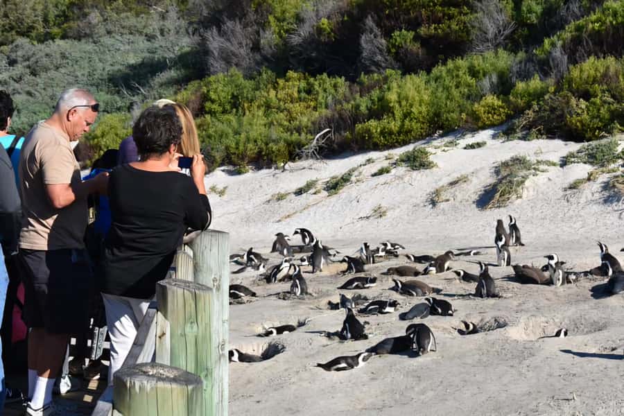 Explore: Cape of Good Hope and Penguins Full-Day Tour - Lunch and the cost of eating on the road