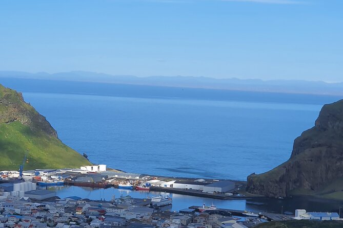 Eyjascooter Puffin Tour in Iceland - Ending at the Sea Life Trust Museum