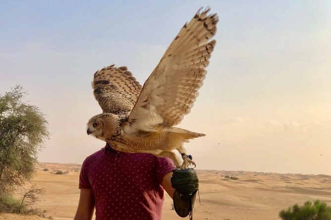 Falcon 1—Private Dubai Falconry Safari - Is the $274 price good value?