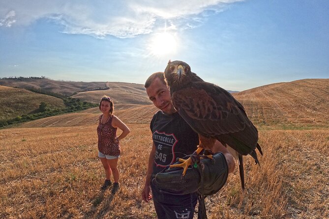 Falconry experience in Tuscany - A hilltop meeting point near Asciano
