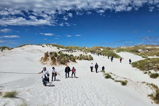 Falkland Islands Shared Tour Sightseeing with Penguins - Price, group size, and what you get for $137.80
