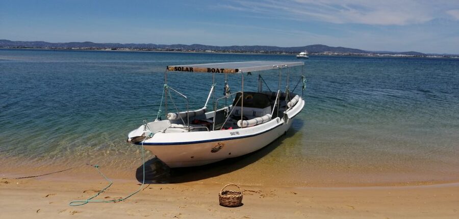Faro: Eco-Friendly Ria Formosa Bird Watching in Solar Boat - Group size and comfort aboard