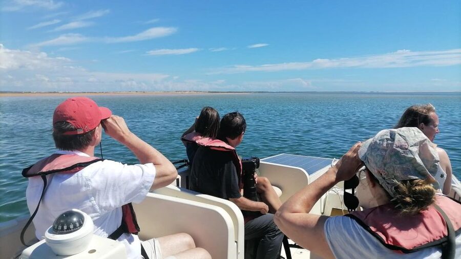 Faro: Ria Formosa Eco Birdwatching Boat Tour - Setting out from Cais das Portas do Mar