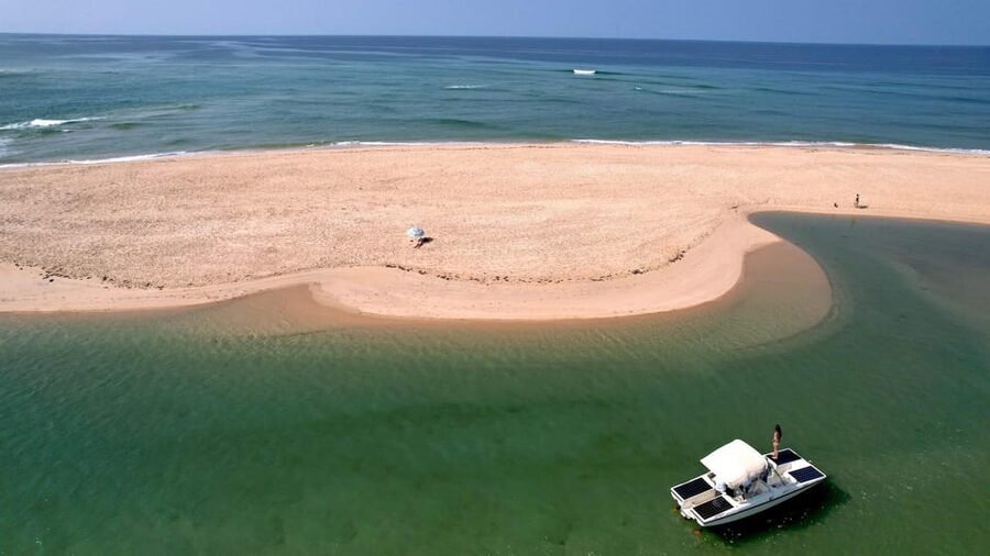 Faro: Ria Formosa Eco Birdwatching Boat Tour - The April and May change of pace