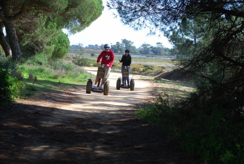 Faro: Ria Formosa Natural Park Segway Tour & Birdwatching - Key points to know before you go