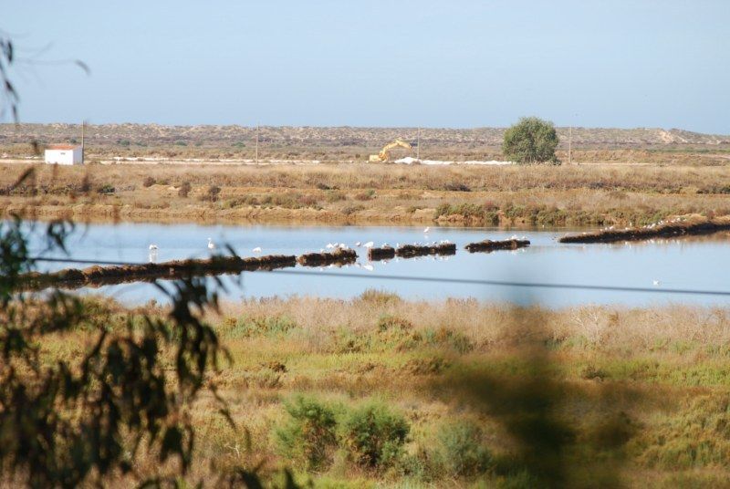 Faro: Ria Formosa Natural Park Segway Tour & Birdwatching - Why Ria Formosa works so well on two wheels