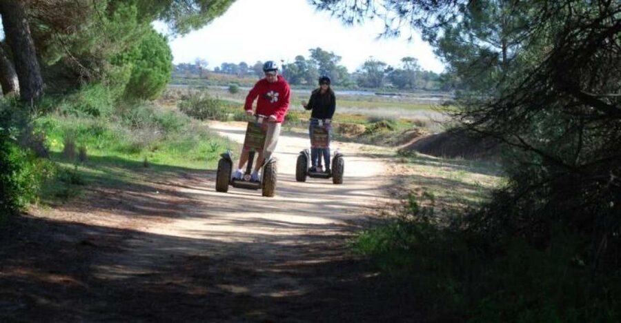Faro: Ria Formosa Natural Park Segway Tour & Birdwatching - The guide is more important than the machine