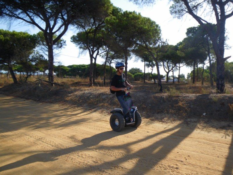 Faro: Ria Formosa Natural Park Segway Tour & Birdwatching - What the 1.5-hour schedule feels like