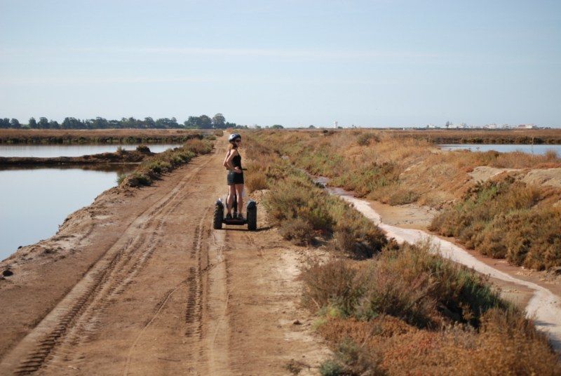 Faro: Ria Formosa Natural Park Segway Tour & Birdwatching - Who should book this Faro nature outing?