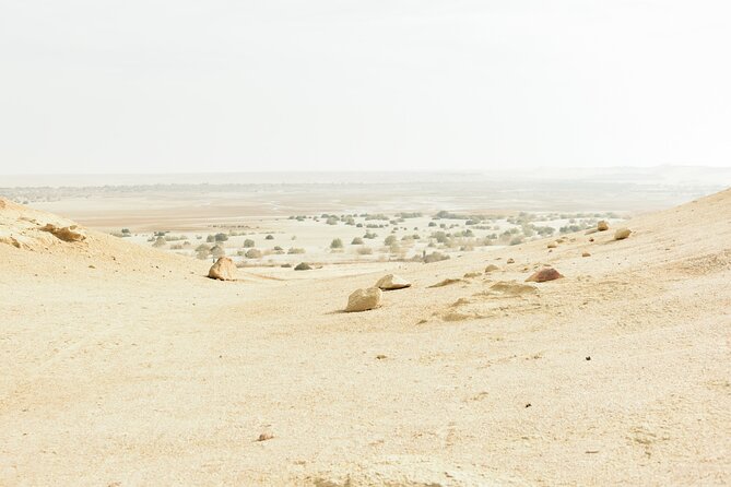 Fayoum Full Day tour Bird Watching - Booking, cancellation, and practical preparation
