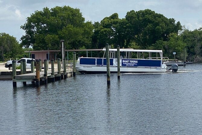 Flamingo Everglades Boat Tours - Buttonwood Canal gives you the close-up view