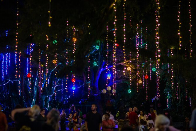 Flamingo Gardens' Garden of Lights - Key points to know before you go