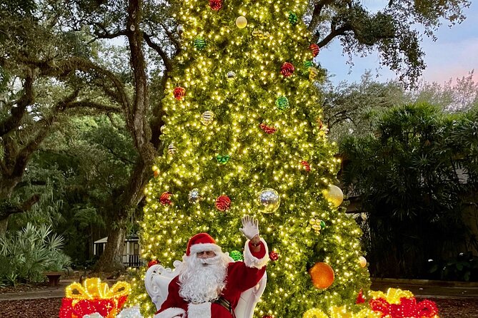 Flamingo Gardens' Garden of Lights - What Garden of Lights is really like