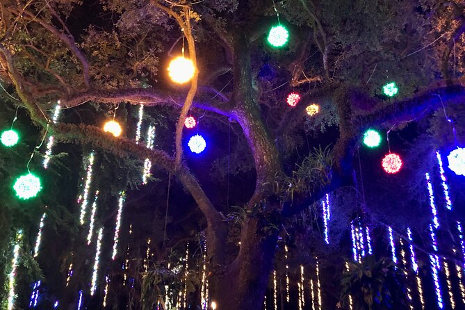 Flamingo Gardens' Garden of Lights - Live music gives the evening some lift