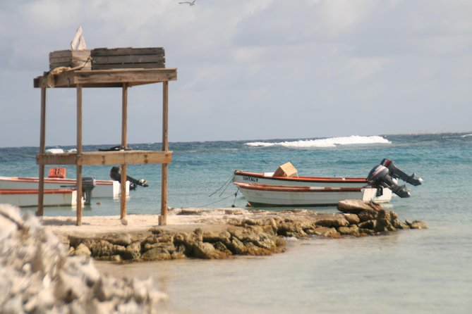 Flamingo & Mangrove Trip with Local Guide - What this Bonaire outing is really about