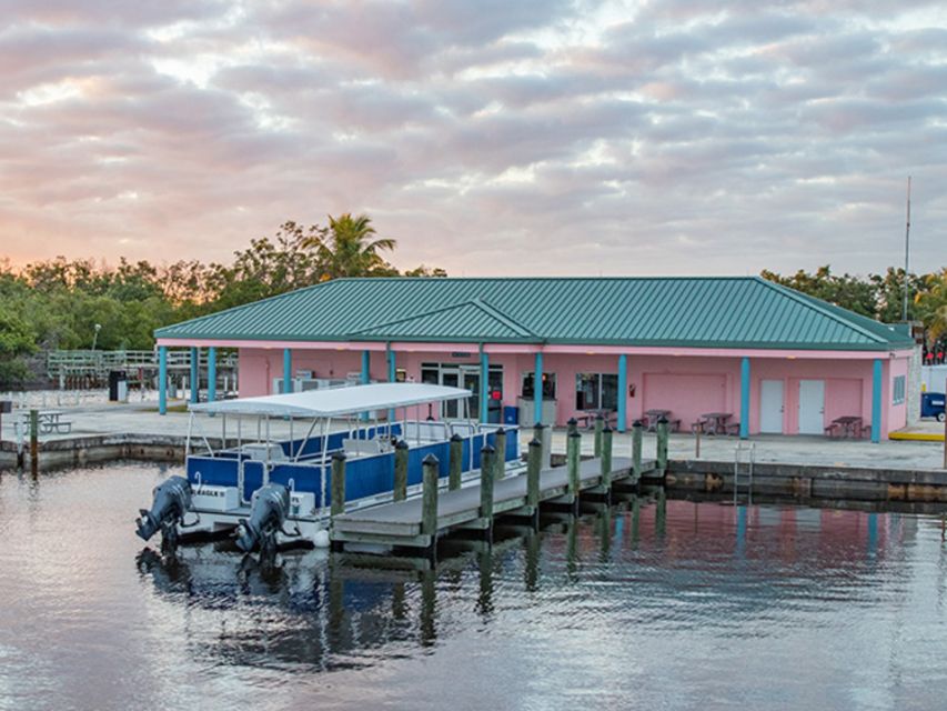 Flamingo Marina: Backcountry Boat Tour of the Everglades - Why This Flamingo Boat Tour Is Worth Your Time