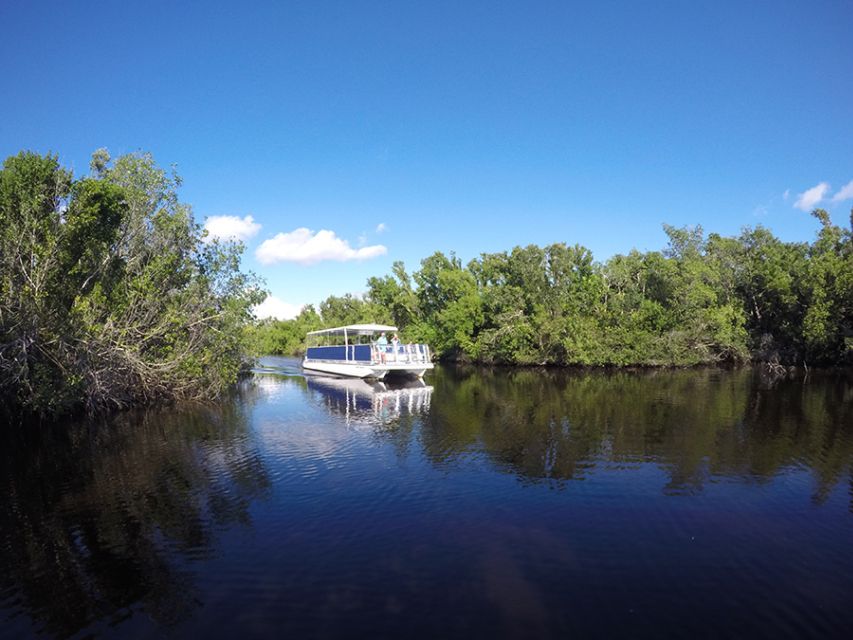 Flamingo Marina: Backcountry Boat Tour of the Everglades - Who Will Enjoy This Experience Most?
