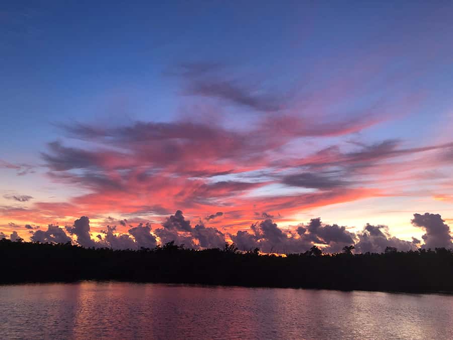 Flamingo Marina: Florida Bay Boat Tour of the Everglades - The guide’s focus on ecology and bird life