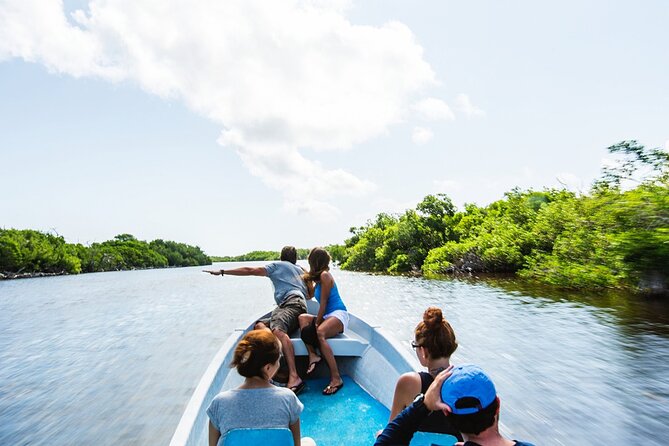 Flamingo Sightseeing Pink Lake Tour and Rio Lagartos Boat Ride - Who will enjoy this tour most