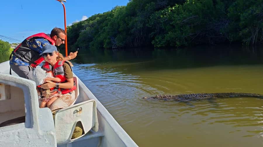 flamingo tour in Rio Lagartos, Yucatan 3 hours - Key points at a glance