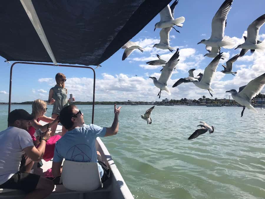 flamingo tour in Rio Lagartos, Yucatan 3 hours - Practical tips for a better outing