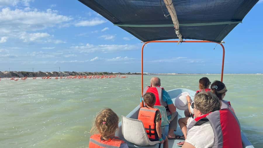 flamingo tour in Rio Lagartos, Yucatan 3 hours - Meeting the boat at the white kiosk