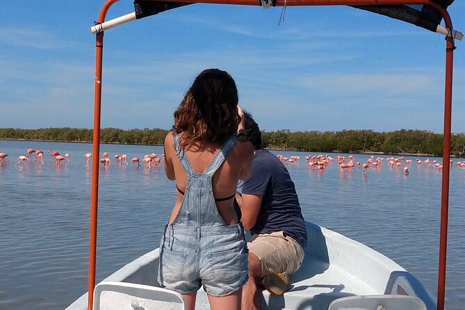 Flamingos Tour in Rio Lagartos Yucatan 2 hours - Key things to know before you go