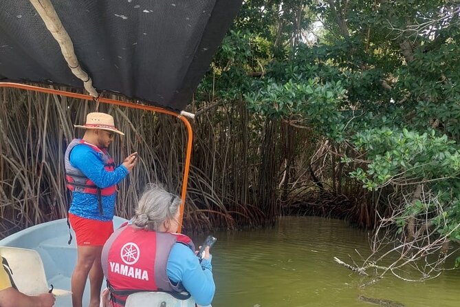 Flamingos Tour in Rio Lagartos Yucatan 2 hours - The Mayan Bath and Gulf beach finish