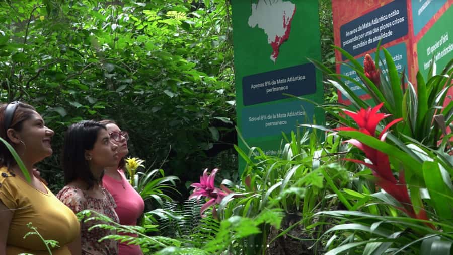 Foz do Iguaçu: Bird Park Tour with Tickets - Why the macaw feeding deserves extra time