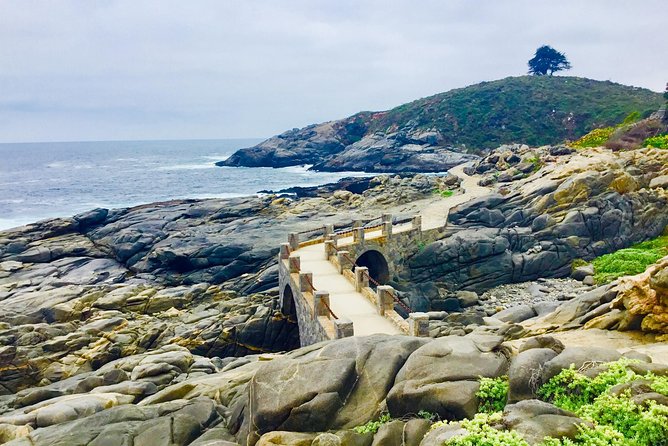 Fr STGO: WILD PENGUINS, SEALION, SANDBOARD, PARAGLIDING & PICNIC - From Santiago to Chile’s Pacific coast