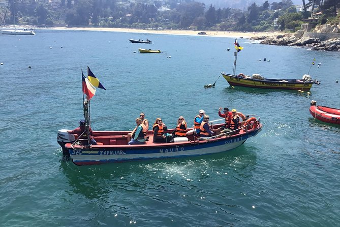 Fr VALPO: WILD PENGUINS, SEALION, SANDBOARD, PARAGLIDING & PICNIC - Viña del Mar and the road north