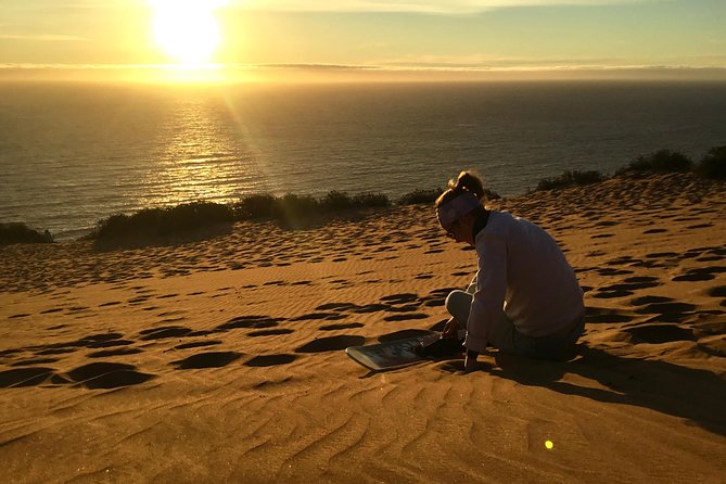 Fr VALPO: WILD PENGUINS, SEALION, SANDBOARD, PARAGLIDING & PICNIC - What the $250 price covers