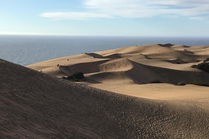 Fr VALPO: WILD PENGUINS, SEALION, SANDBOARD, PARAGLIDING & PICNIC - Guides, group size, and the pace of the day