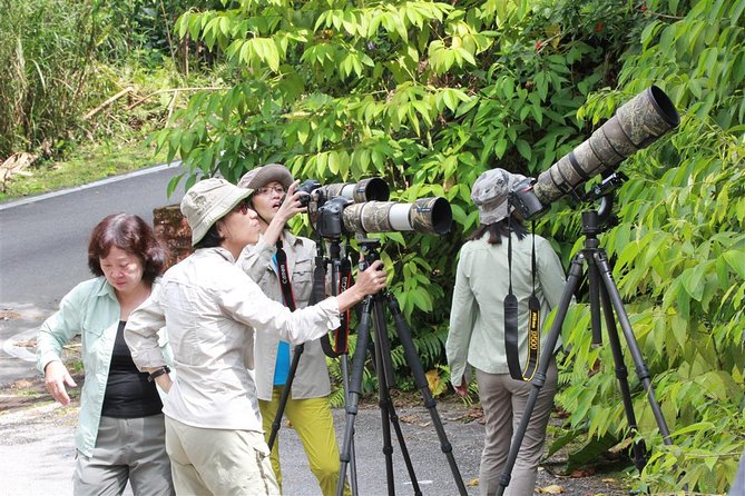 Fraser's Hill Bird-Watching & Nature Sightseeing Tour from Kuala Lumpur - Bukit Fraser, the main mountain stop