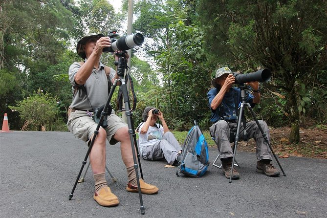 Fraser's Hill Bird-Watching & Nature Sightseeing Tour from Kuala Lumpur - The 5:30am hotel pickup and ride north