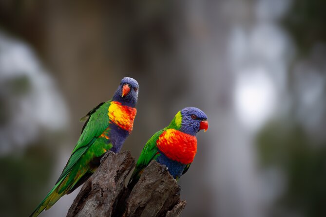 From Adelaide: Ultimate SA Birding & Nature Discovery Tour - Port Elliot Bakery and a useful midday pause