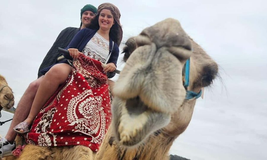 From Agadir: Camel Ride and Flamingo Trek - Key points to know before you book