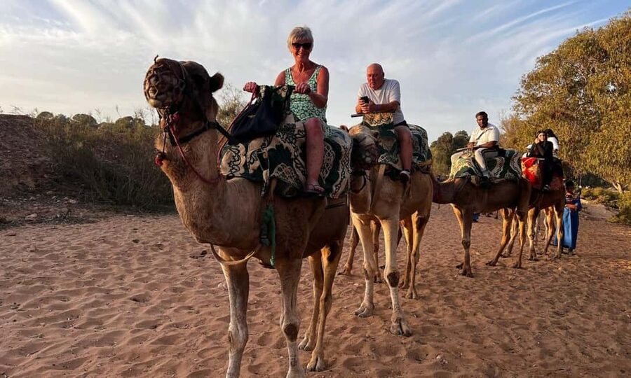 From Agadir: Camel Ride and Flamingo Trek - A gentle camel ride outside Agadir
