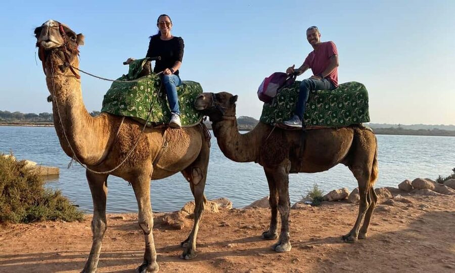 From Agadir: Camel Ride and Flamingo Trek - Through the forest toward the Souss River