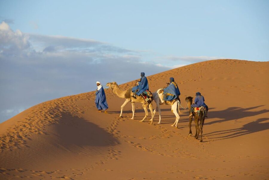 From Agadir: Camel Ride and Flamingo Trek - Is the $19 price good value?