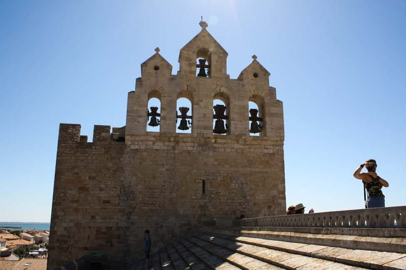 From Avignon: Camargue Tour with Bird Park Entry - FAQ