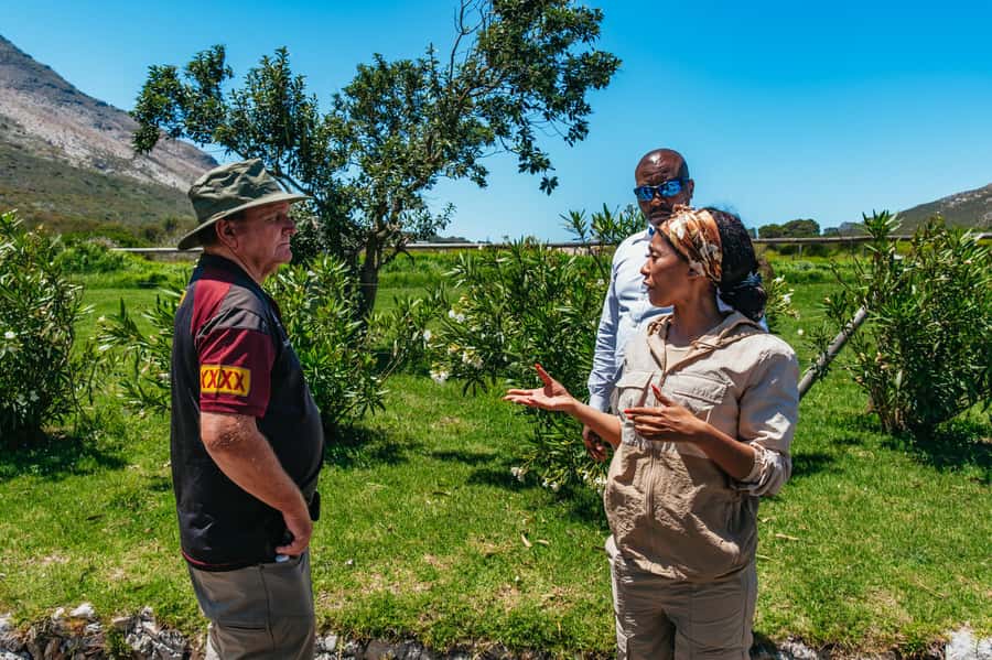 From Cape Town: Cape Peninsula & Boulders Penguin Beach Tour - Guides, vehicles, and the feel of the day