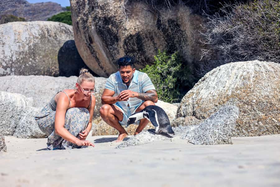 From Cape Town: Half-Day Boulders Beach and Penguins Tour - Camps Bay and the Twelve Apostles