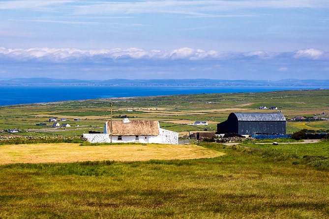 From Dublin: Cliffs of Moher, Bird of Prey & Aillwee Cave - Seeing the Cliffs of Moher from land and sea