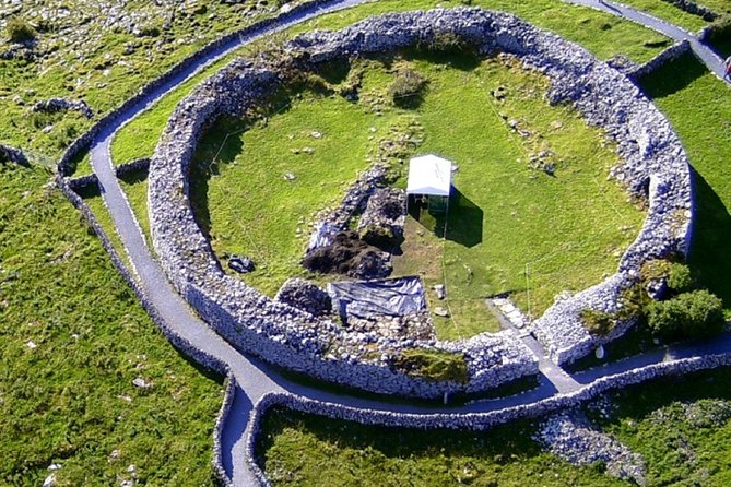 From Dublin: Cliffs of Moher, Bird of Prey & Aillwee Cave - What happens when the boat is canceled