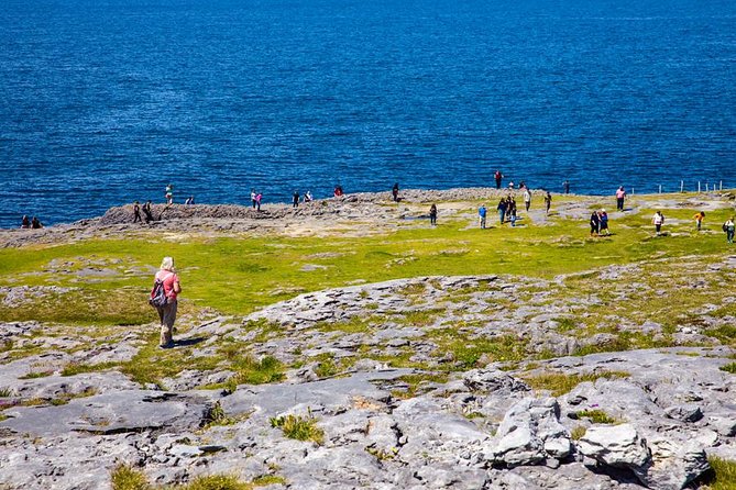 From Dublin: Cliffs of Moher, Bird of Prey & Aillwee Cave - Guides, coaches, and the large-group reality