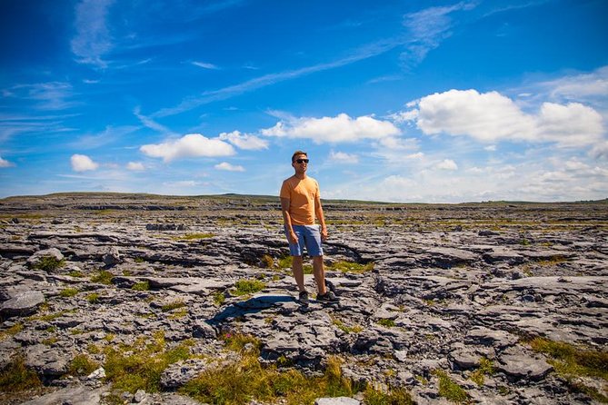 From Dublin: Cliffs of Moher, Bird of Prey & Aillwee Cave - Is $126.15 good value?