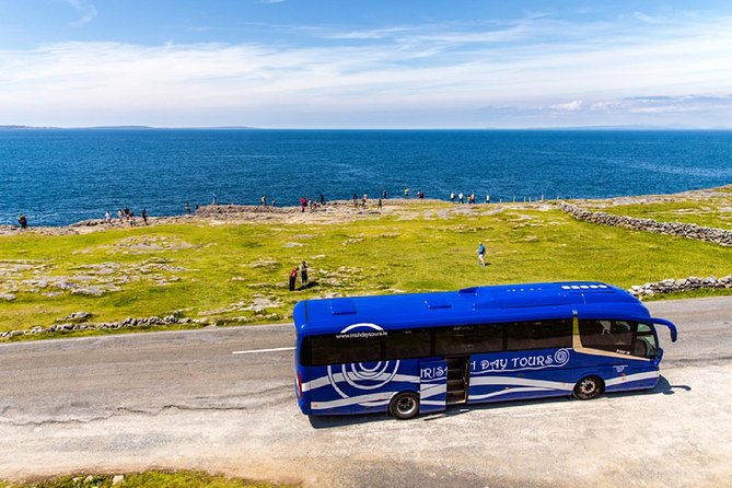 From Dublin: Cliffs of Moher, Bird of Prey & Aillwee Cave - Aillwee Cave and 330 million years underground